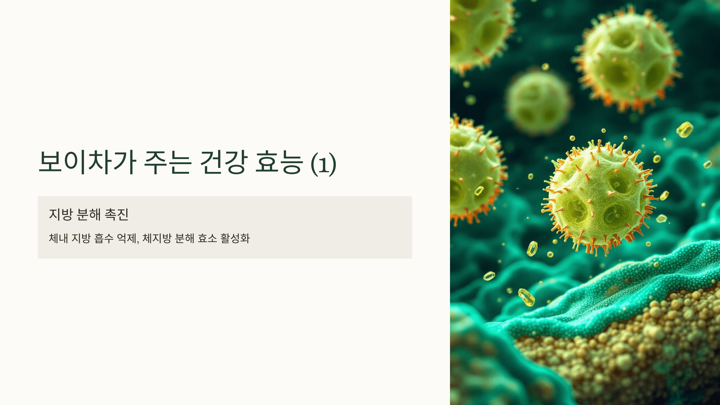 보이차 사진입니다.