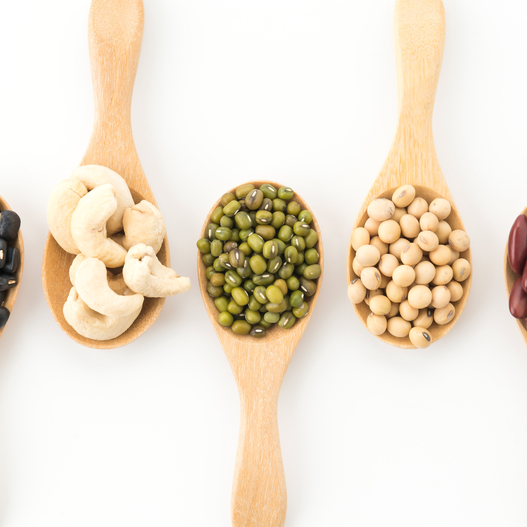 콩의 효능과 콩의 종류