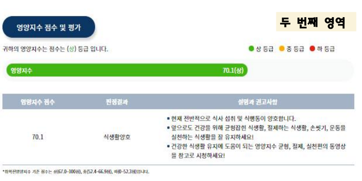 영양지수 프로그램 결과