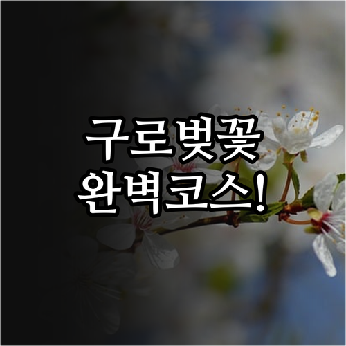구로구 벚꽃 나들이 정보 안양천 거리..