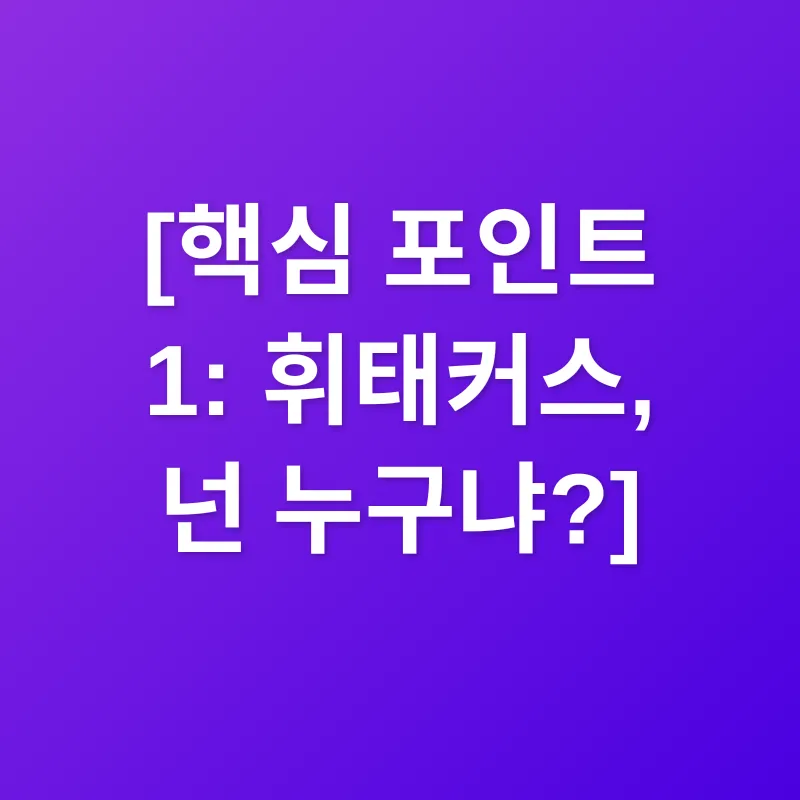 휘태커스 초콜릿_1