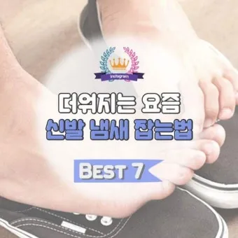 신발 악취 제거 베이킹소다 숯 햇볕 통풍 신발장 만들기_19