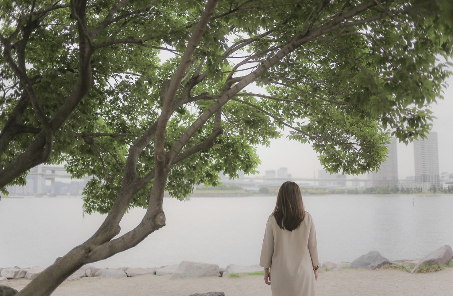 일본 여름 사진