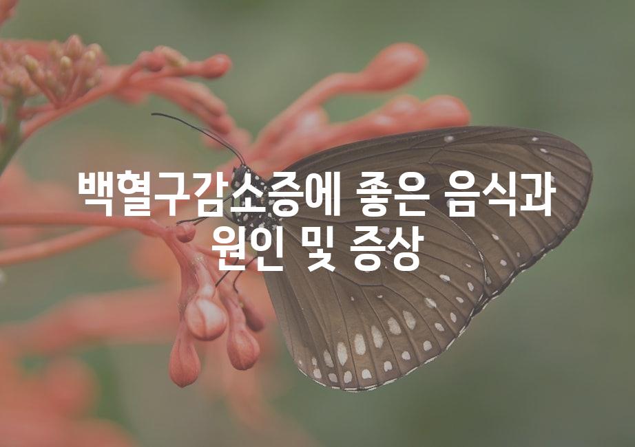 샘플 (51)