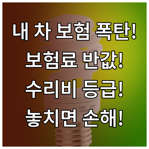 수입차 보험료 절감 핵심 전략 수리비..
