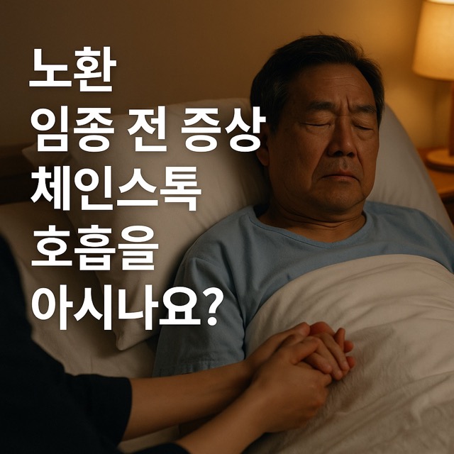 노인이 병상에 누워 있고, 가족이 손을 잡아주는 장면(출처: 자체제작)
