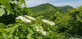 소백산 국립공원 홈페이지