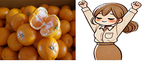 귤의 효능_피로 해소