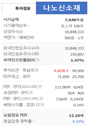 나노신소재의 시가총액 등 정보가 표기된 투자 정보