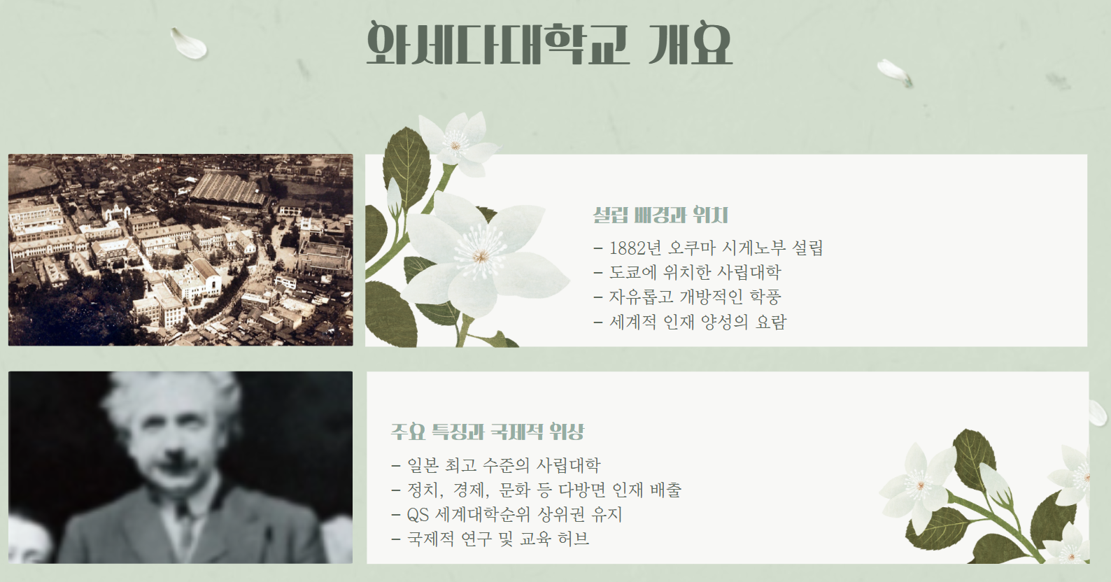 와세다대학교개요