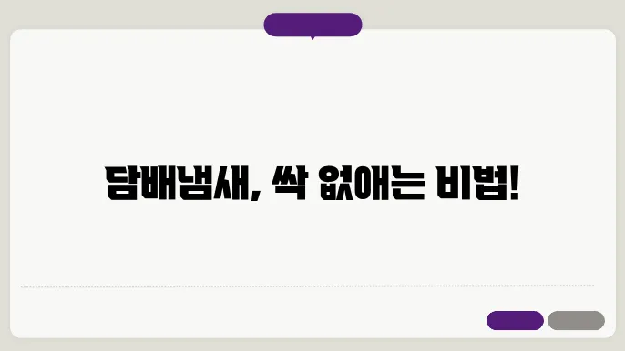 자동차 내부 청소용 다양한 제거 방법들