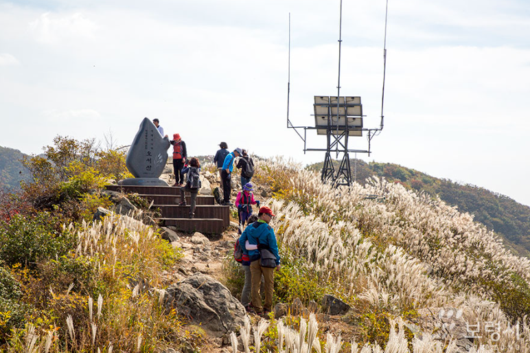 보령 모바일 스탬프 투어 참여 방법