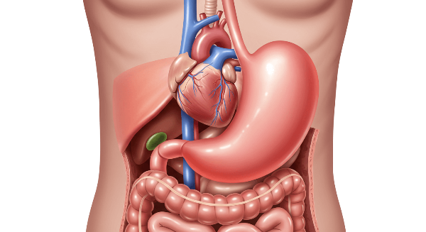 명치 통증 원인 사진 6