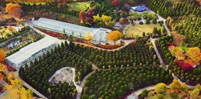 베어트리파크 단풍축제 기간 입장료 할인받기