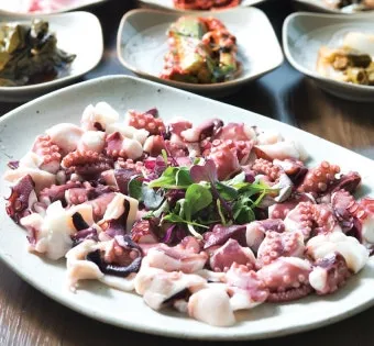 5월 동해 바다낚시 최고 추천 어종과 인기 포인트 완벽 총정리_5