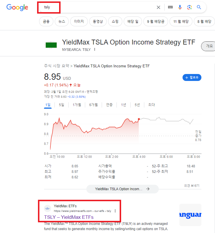 tsly 배당