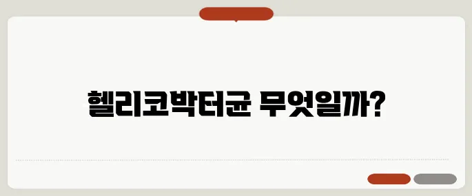 헬리코박터균 증상과 치료 방법 총정리!