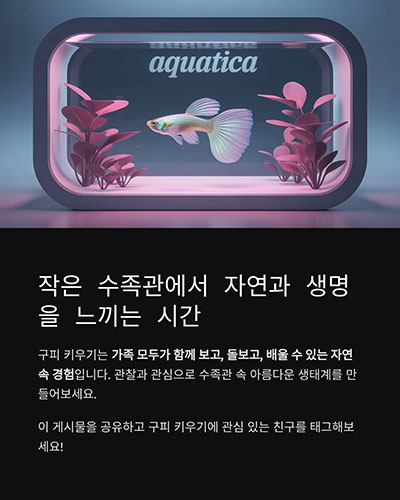 작은 수족관에서 자연과 생명을 느끼는 시간