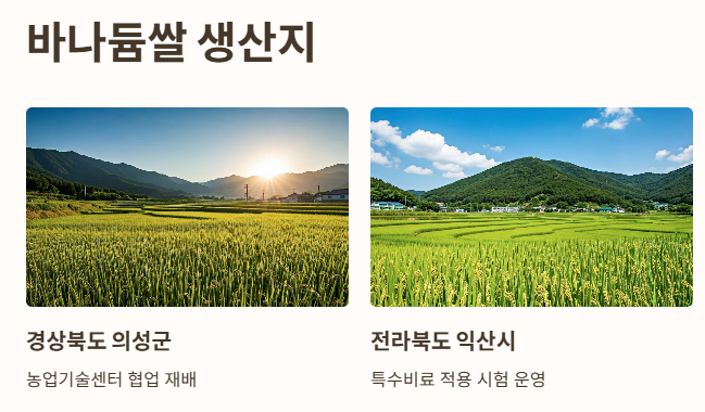 바나듐쌀 생산지