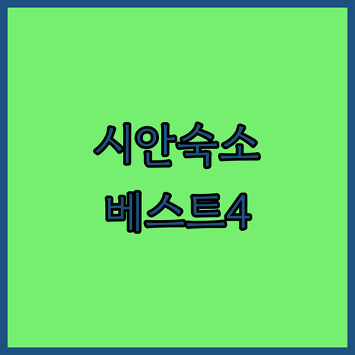 시안 여행 호텔 위치 조식 부대시설 ..