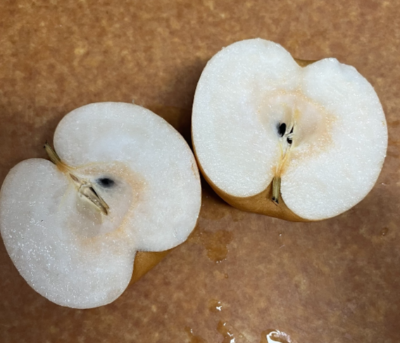 과일_배