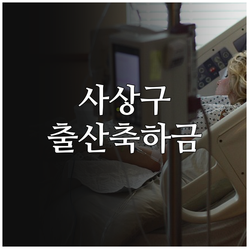 사상구 2025 출산축하금 총정리: ..