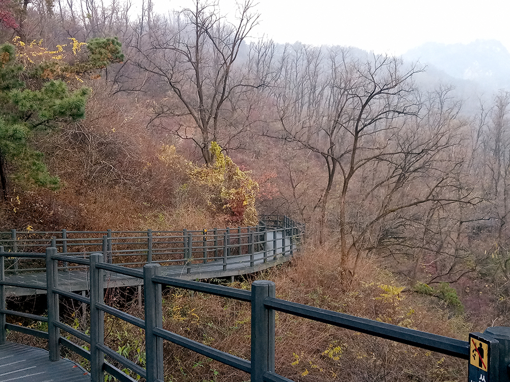 워크온앱(WalkON) 1일1만보걷기챌린지