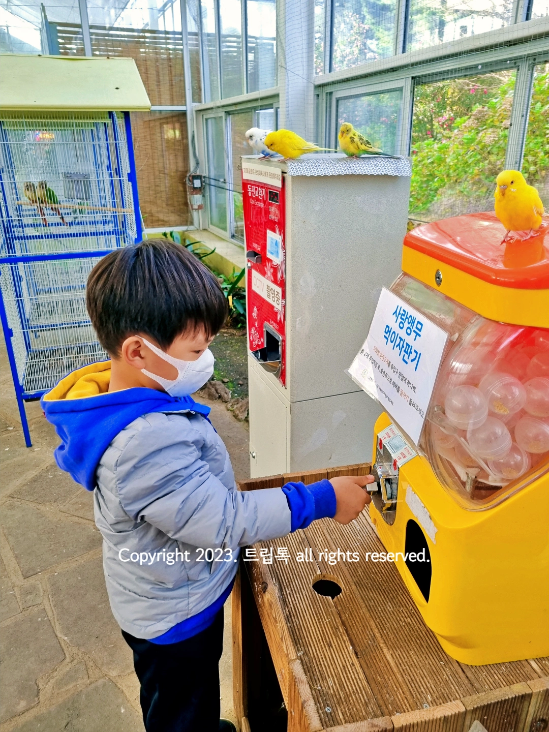 플라스틱의 사랑앵무 자판기에서 먹이를 사는 아이