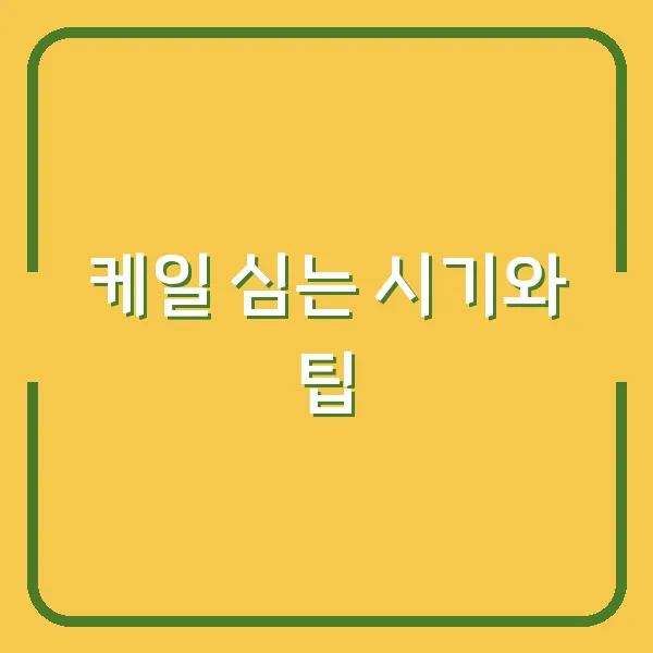 하루 100개 영어 단어 외우기 비법