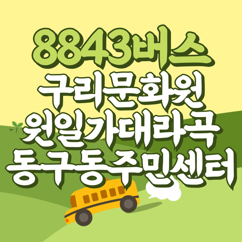구리문화원.원일가대라곡아파트.동구동주민센터에서 인천공항 리무진 공항버스(8843번) 썸네일