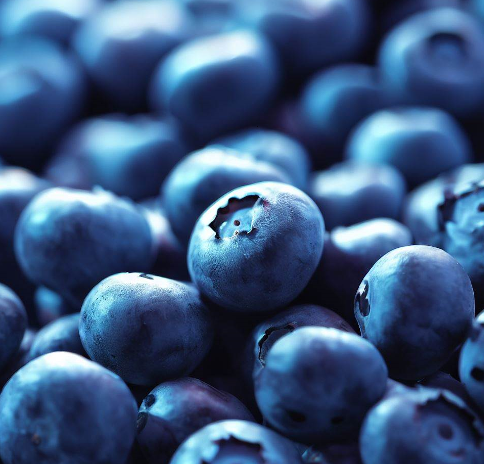 블루베리