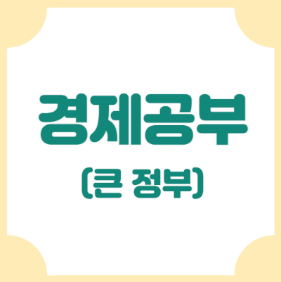 큰정부