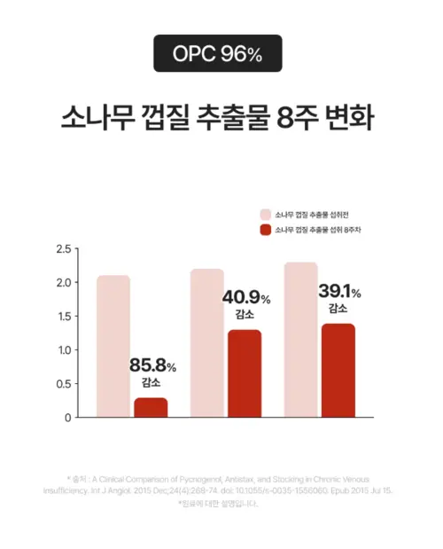 레그필 내돈내산 찐 후기 붓기 부종 부작용 성분 효과 사기?