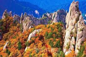 설악산 단풍명소