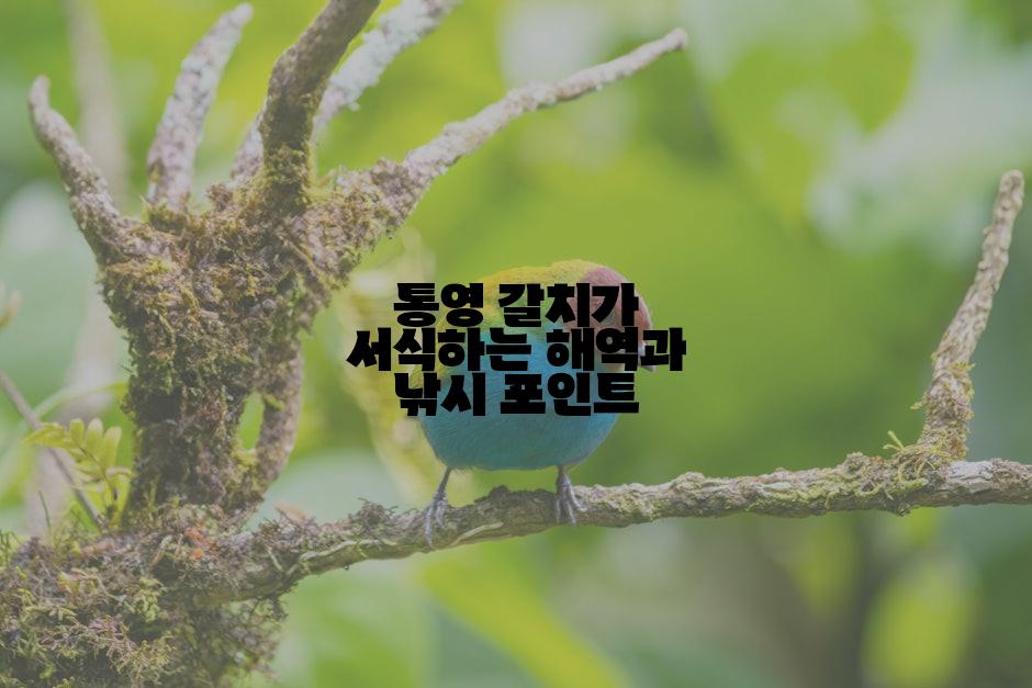 통영 갈치가 서식하는 해역과 낚시 포인트