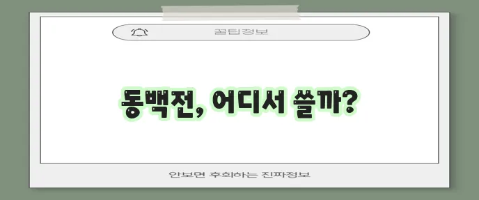 동백전 카드 사용처 완벽하게 총정리했습니다!