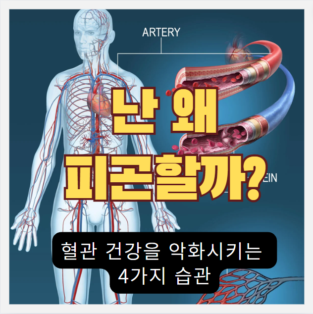 혈관 건강을 악화시키고 동맥경화, 심혈관질환을 유발하는 습관 4가지 썸네일