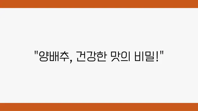 최고의 양배추 요리법