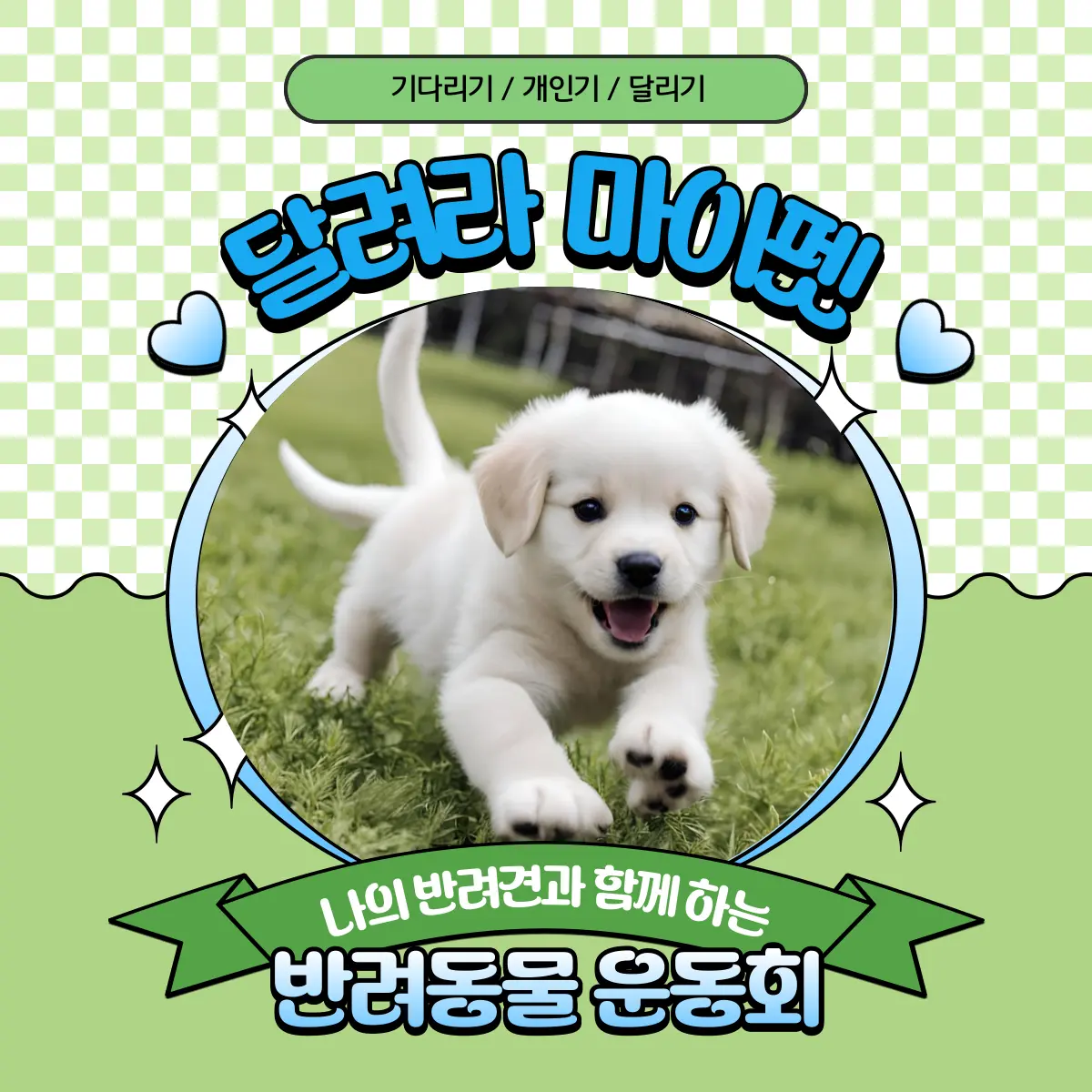 울산전시컨벤션센터 2024 반려동물 박람회 & 펫관광 페스타 소개 축제 행사 일정 시간 부스 배치도 참여 관람 방법