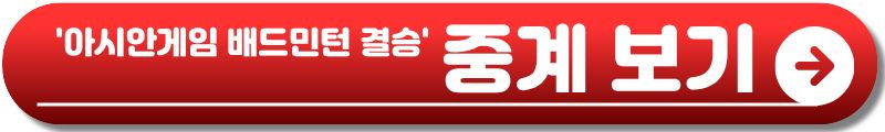 아시안게임 배드민턴 결승
