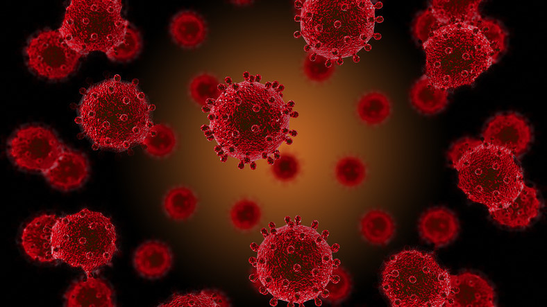 코로나생활지원금