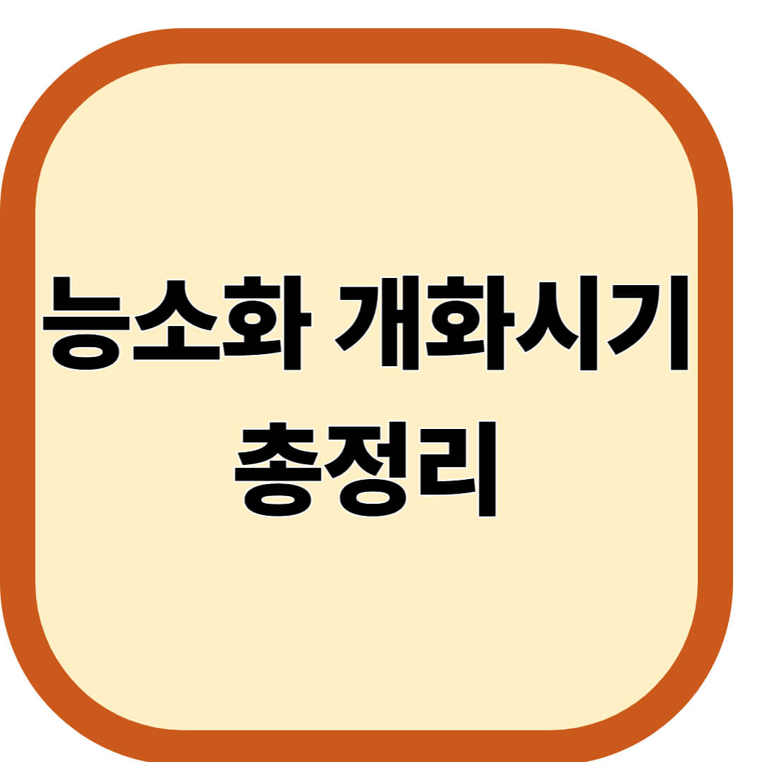 능소화 개화시기 총정리
