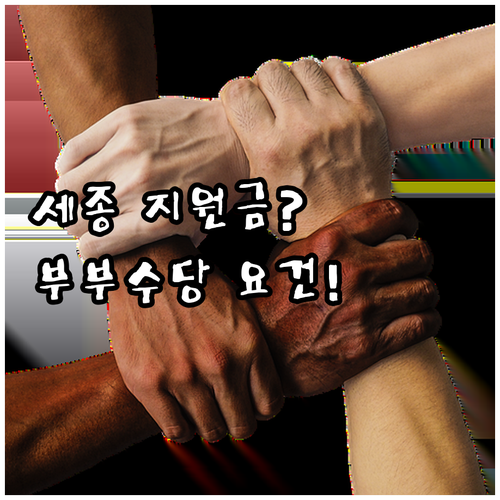 세종시 부부장애수당 2025 지원 자..