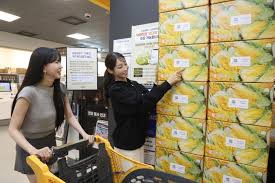 2025년 이마트 절임배추 예약