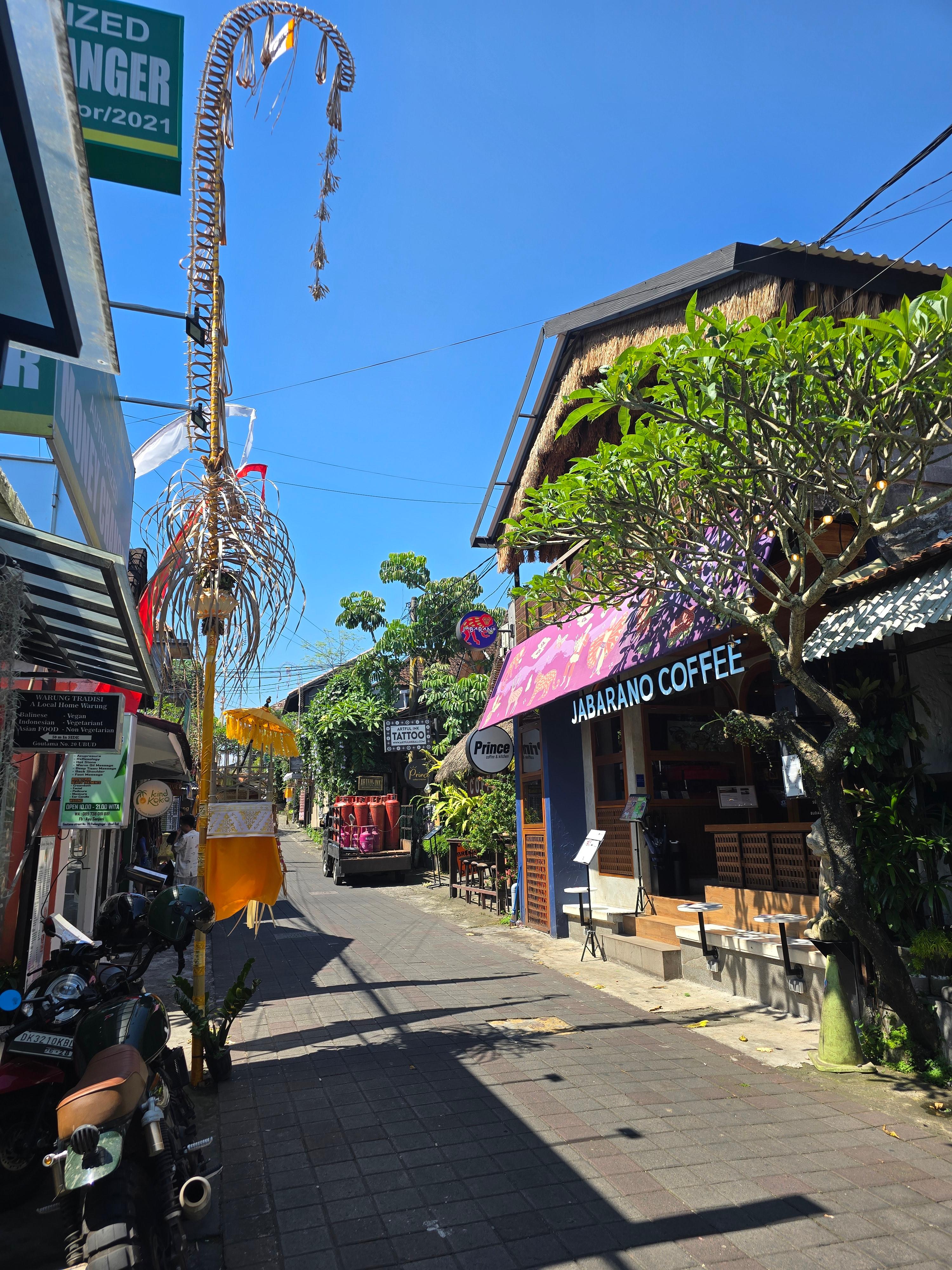 이미지-alt-태그-발리 우붓 거리