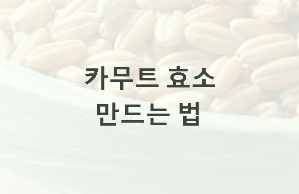 카무트 효소 만드는 법 단계별 가이드
