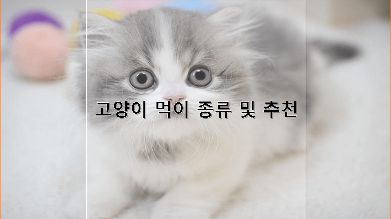 고양이 먹이 종류 및 추천