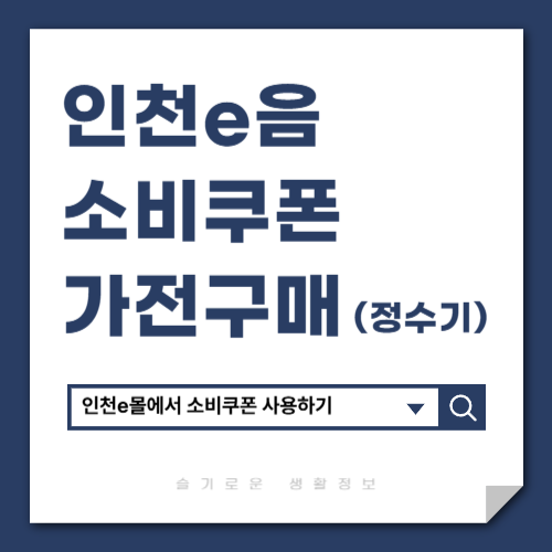 인천e음 소비쿠폰