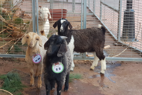 파주-퍼스트가든-08