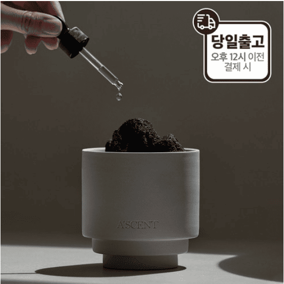 겨울 선물 추천